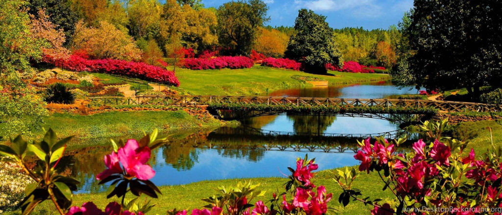 Serene Spring Landscape Wallpaper with Pond & Vibrant Azaleas