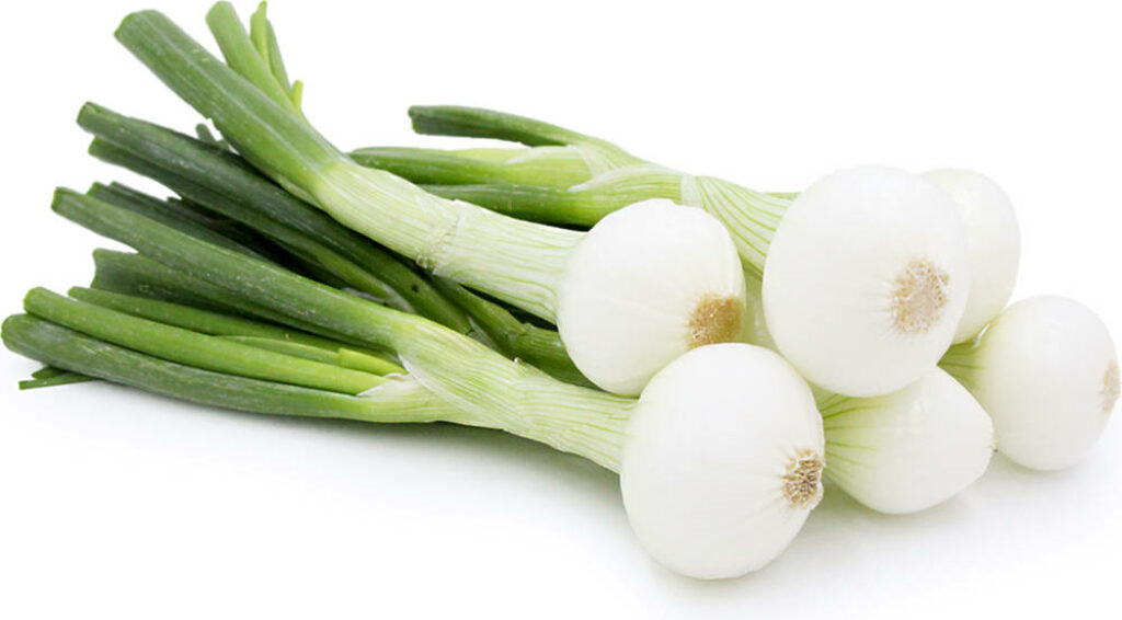 Fresh Spring Onions Wallpaper: Vibrant Green Stalks & White Bulbs