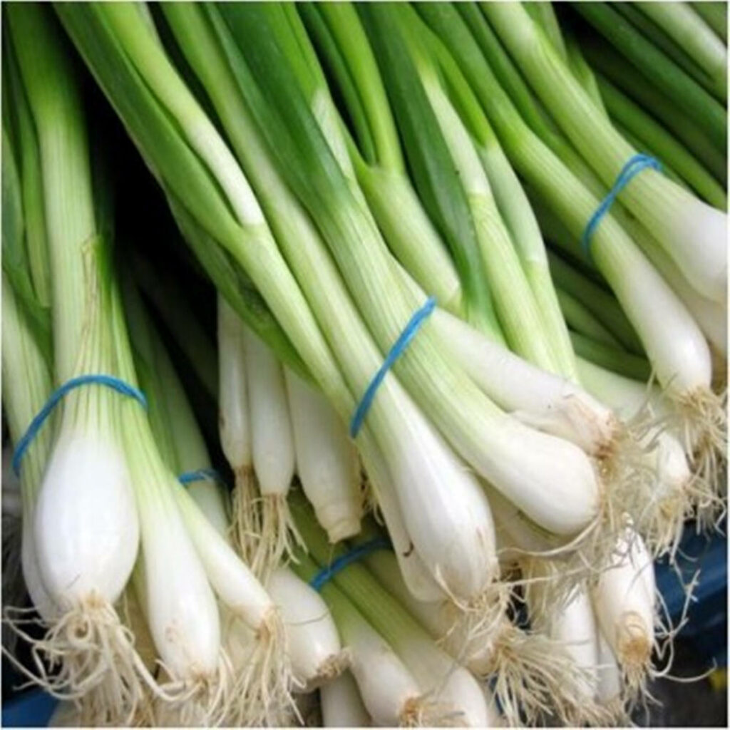 Fresh Spring Onions Wallpaper: Vibrant Green & White Bundle Design