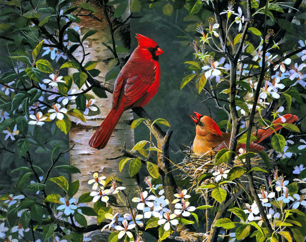 Vibrant Spring Wallpaper: Colorful Birds & Blossoms in Nature