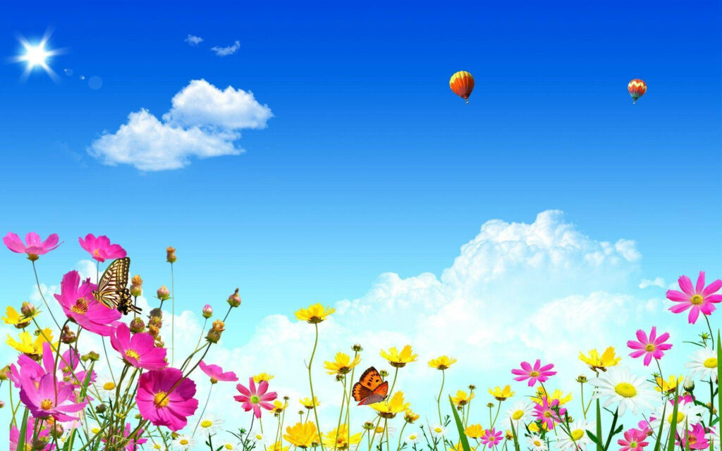Vibrant Spring Wallpaper: Cosmos Flowers, Butterflies & Balloons
