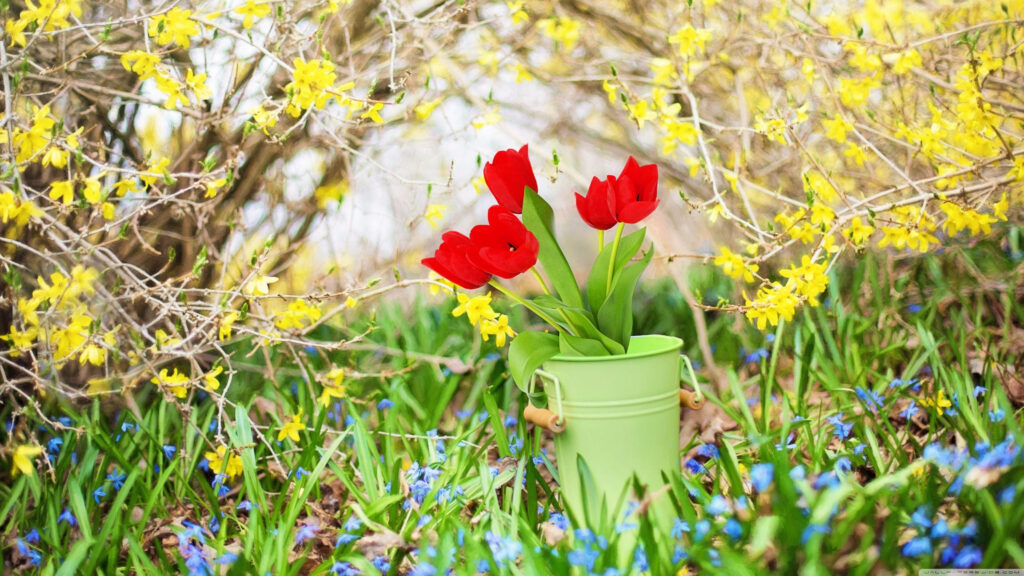 Vibrant Spring Wallpaper: Red Tulips & Bright Flowers Background