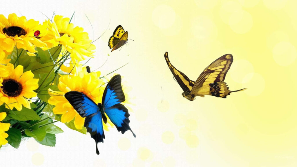 Vibrant Spring Wallpaper: Sunflowers & Colorful Butterflies Delight
