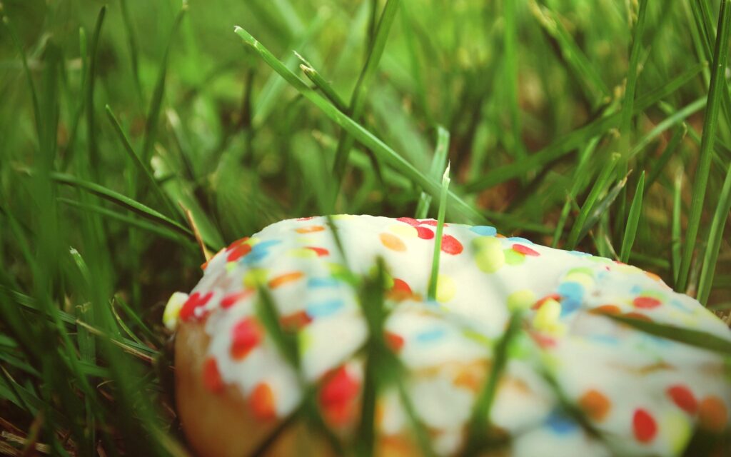 Colorful Donut with Sprinkles on Green Grass - Playful Wallpaper