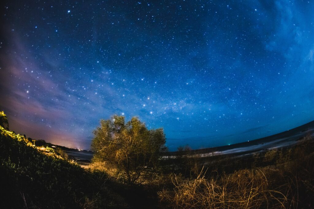 Vibrant starry night sky over solitary tree fisheye lens deep blue purple orange tranquil wallpaper