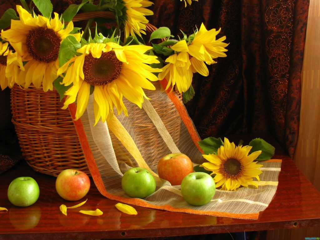 Vibrant Sunflower Still Life Wallpaper with Apples and Elegant Drapery