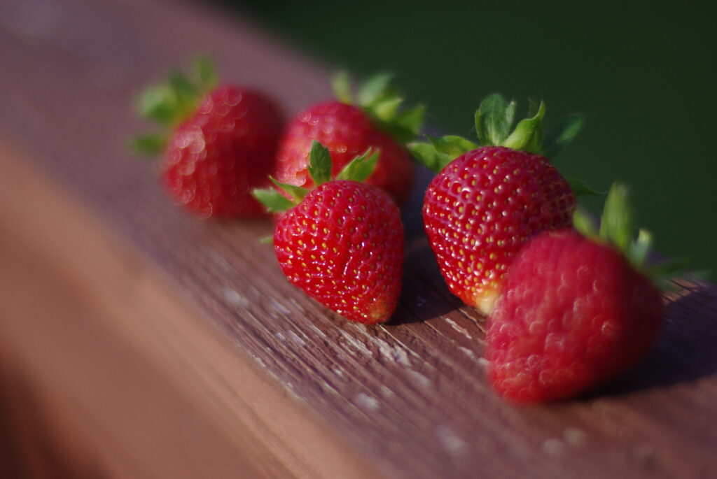 Fresh Strawberry Wallpaper: Vibrant Red on Rustic Wood Background