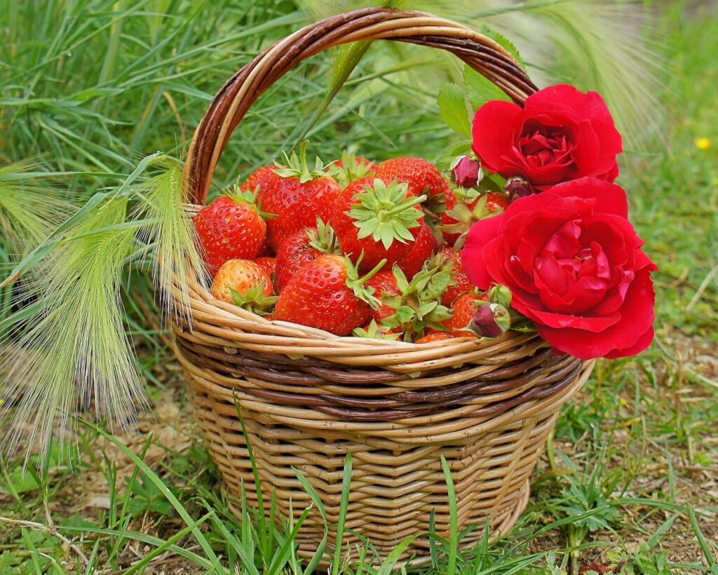 Vibrant Wallpaper: Wicker Basket of Strawberries & Red Roses