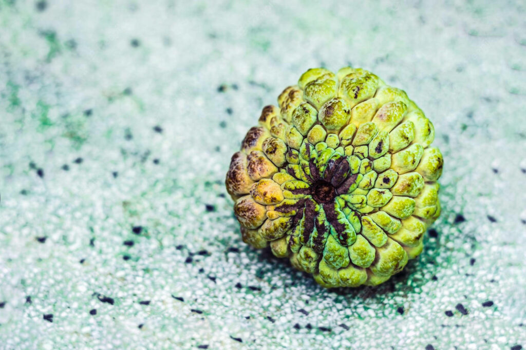 Vibrant Sugar Apple on Speckled Surface - Unique Wallpaper Background