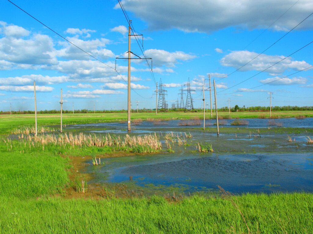 Summer prairie swamp with electricity pylons power lines bright green landscape blue sky Wallpaper