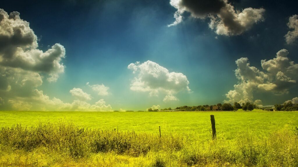 Vibrant summer landscape wallpaper with lush green field and dramatic cloudy sky background