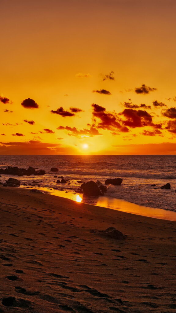 Soothing Summer Vibes Captured in Full HD Phone Wallpaper