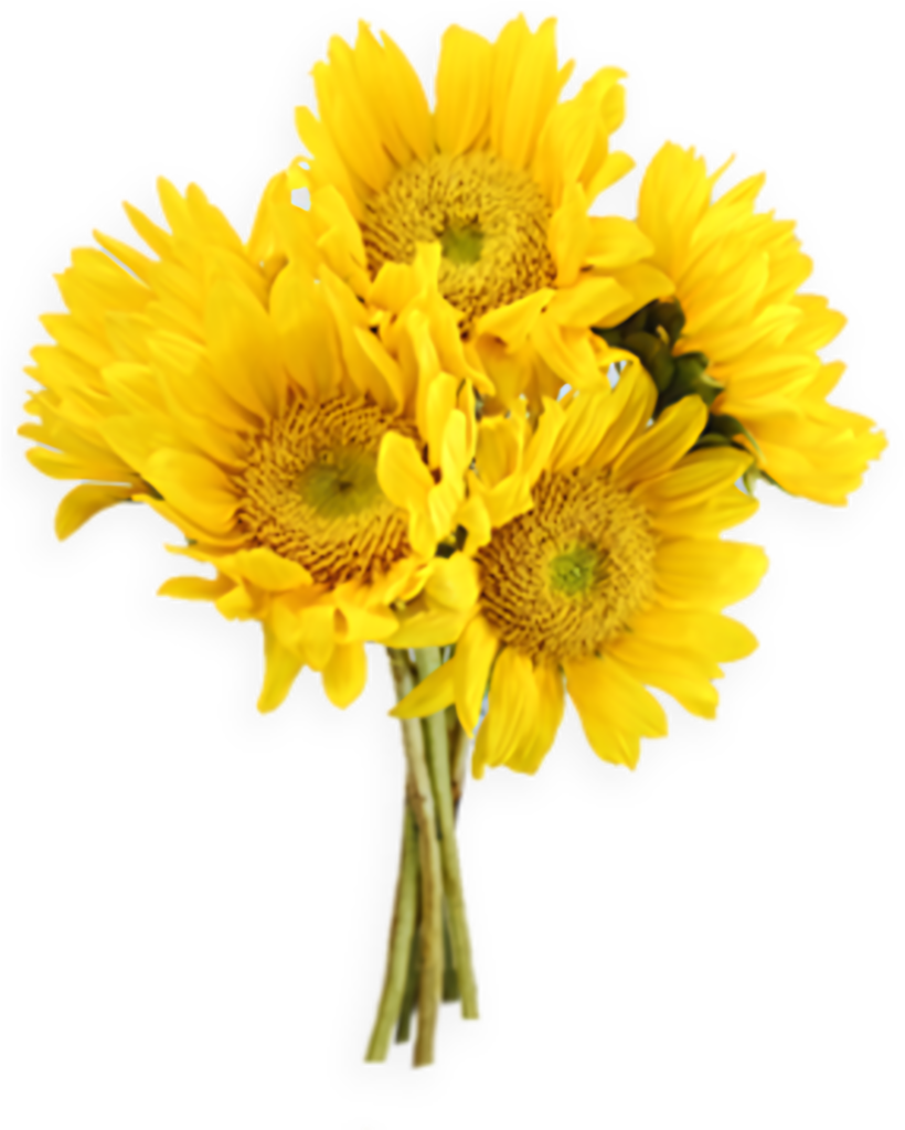 Cheerful Bouquet of Sunflowers: Bright Yellow Warmth & Happiness Wallpaper