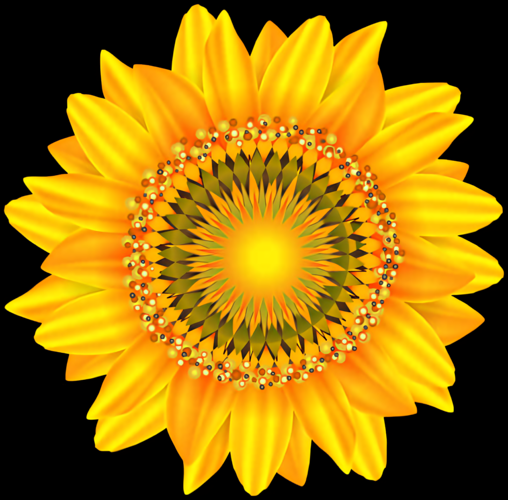 Vibrant Sunflower Wallpaper: Bright Yellow Petals & Transparent Background