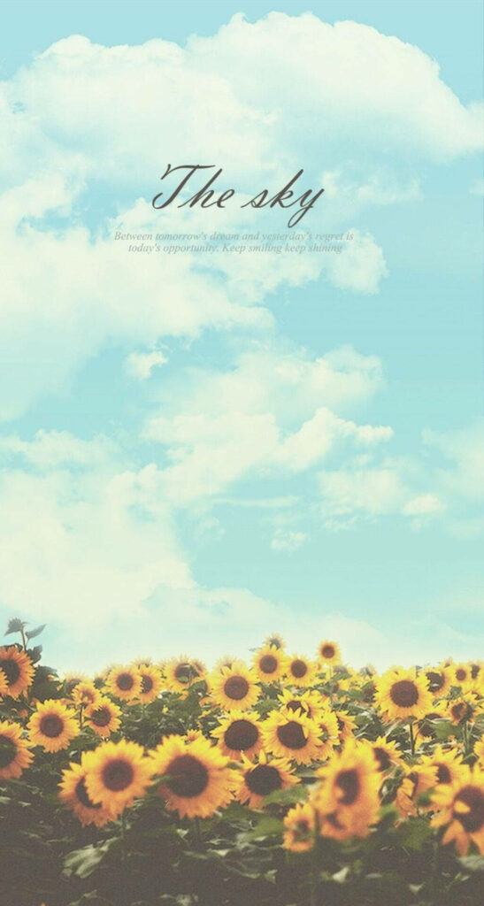 Cheerful Sunflower Field iPhone Wallpaper - Bright & Uplifting Background