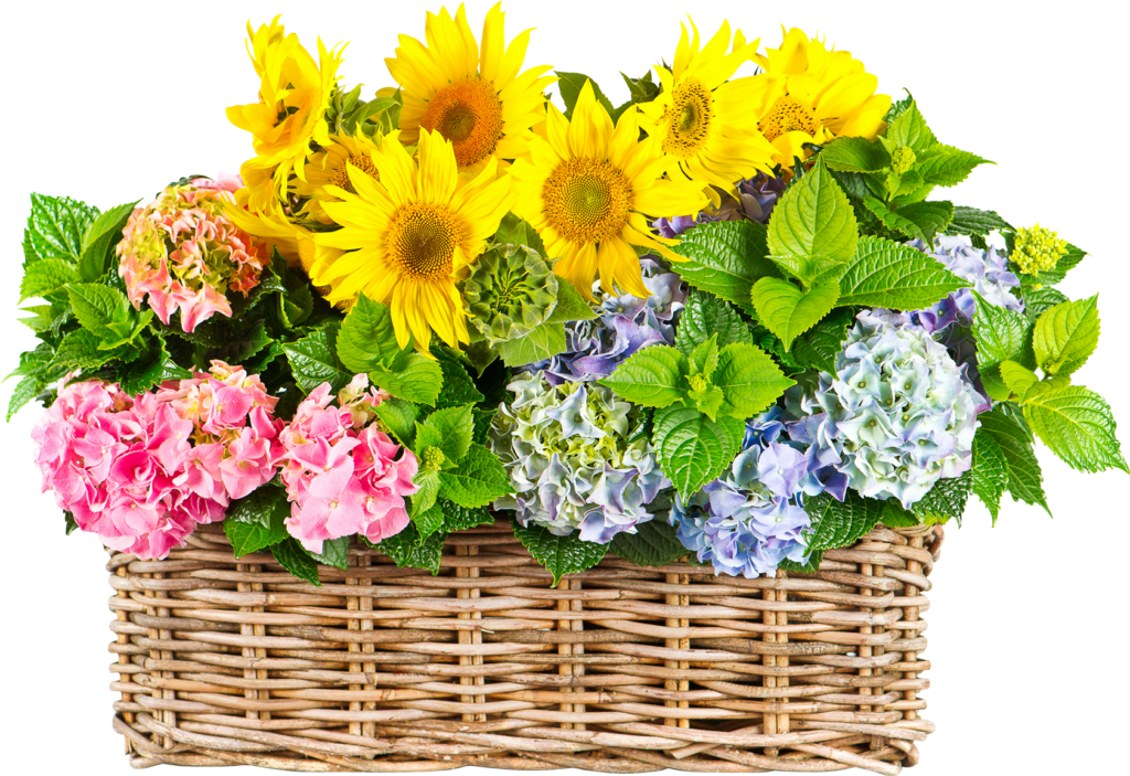 Cheerful Sunflower & Hydrangea Basket Wallpaper - Vibrant Background