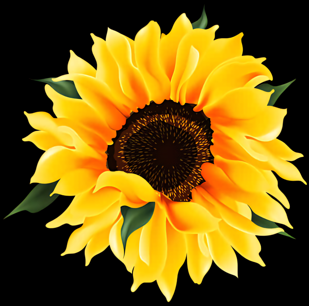 Vibrant Sunflower Wallpaper: Bold Yellow & Green on Dark Background