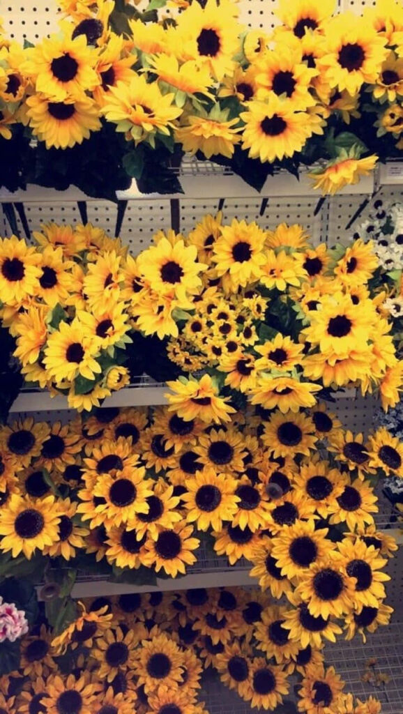 Vibrant Sunflower Wallpaper: Bright, Cheerful Layered Background