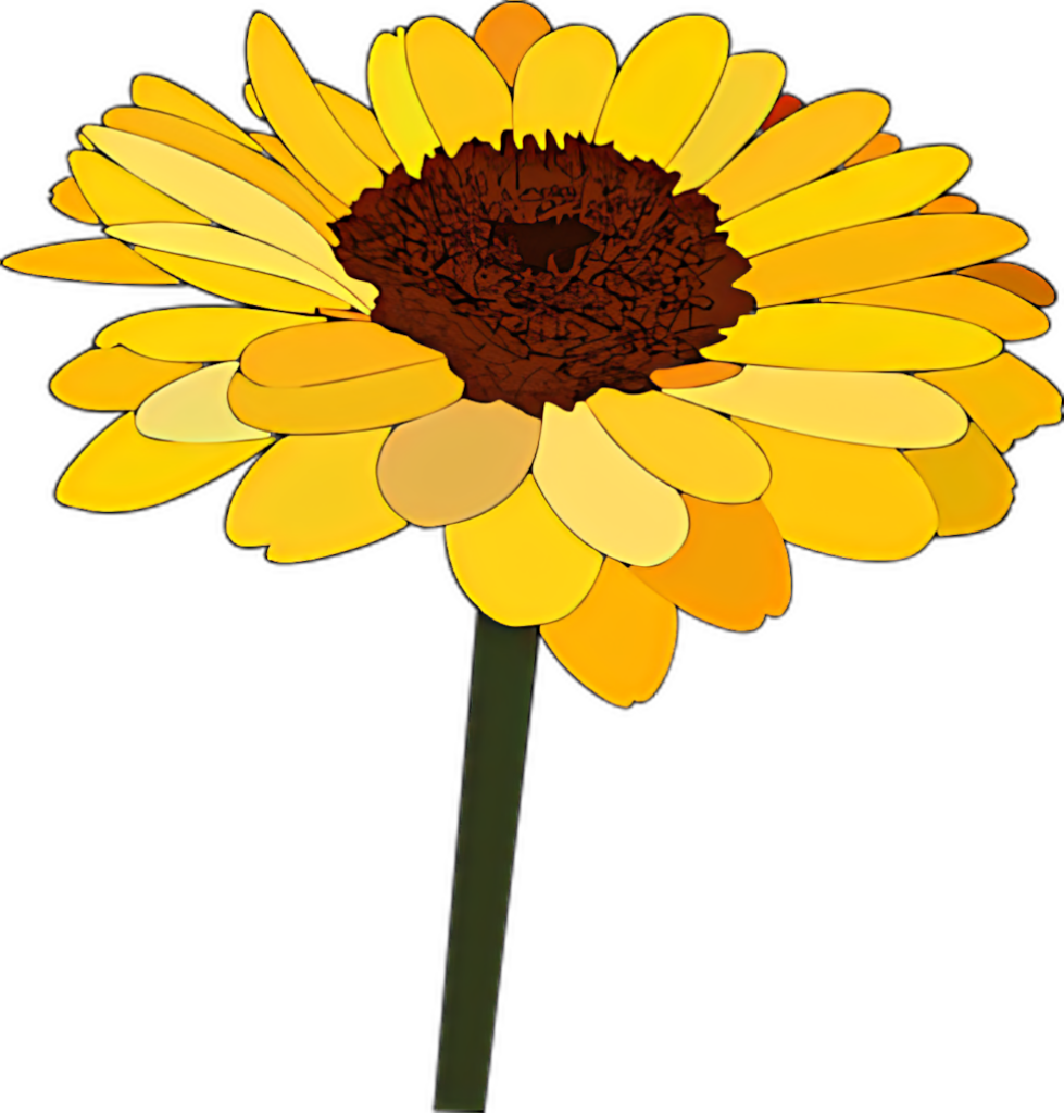 Vibrant Sunflower Wallpaper: Cheerful Yellow Petals & Brown Center