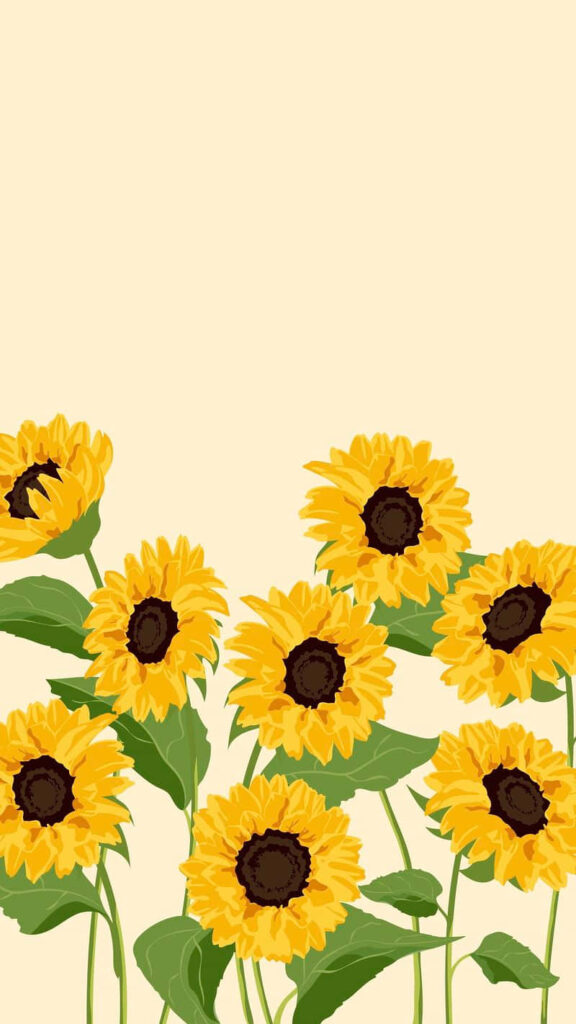 Cheerful Sunflower Wallpaper: Bright Yellow Blooms Against Soft Background
