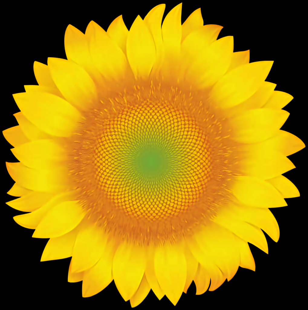 Vibrant Sunflower Wallpaper: Bright Yellow Petals & Intricate Detail
