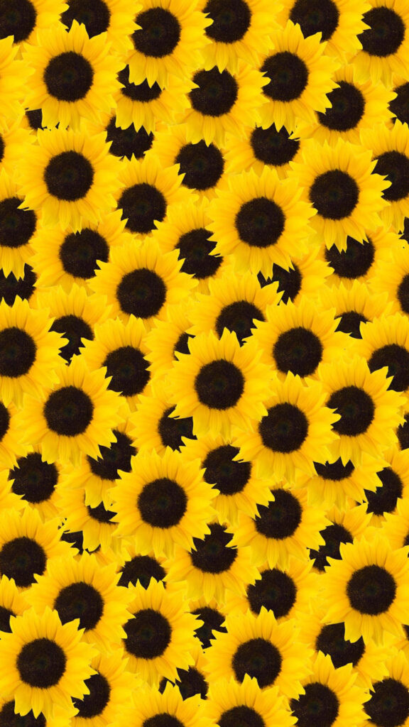 Bright Yellow Sunflowers Wallpaper: Cheerful Nature-Inspired Background