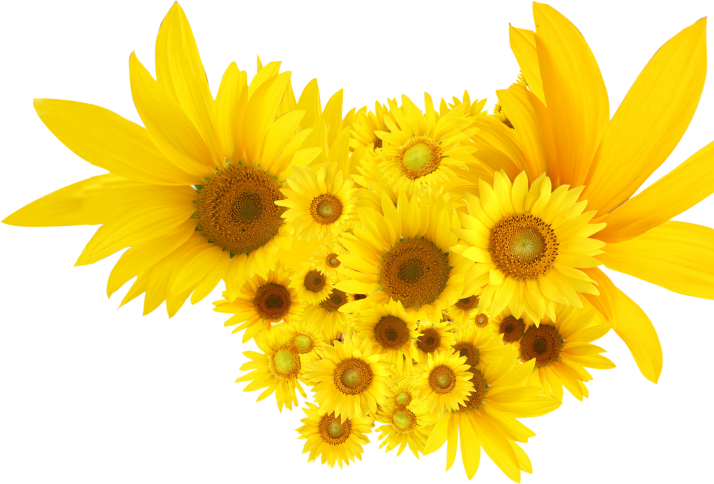 Bright Sunflower Wallpaper: Cheerful Yellow Petals Background