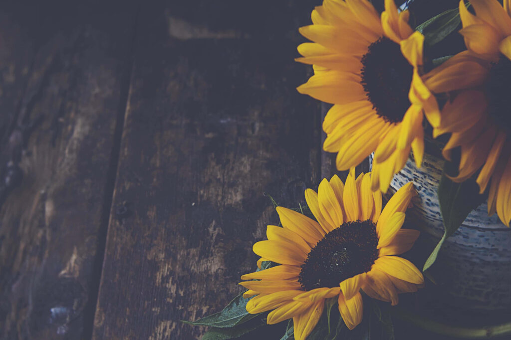 Vibrant Sunflower Wallpaper: Rich Yellow Petals on Rustic Wood