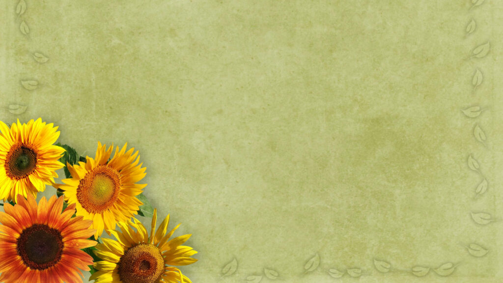 Vibrant Sunflower Wallpaper on Soft Green Background for Cheerful Ambiance