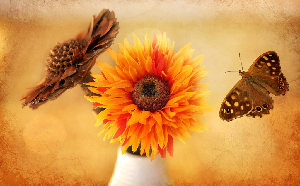Radiant Sunflower Wallpaper with Butterfly & Pinecone Accent