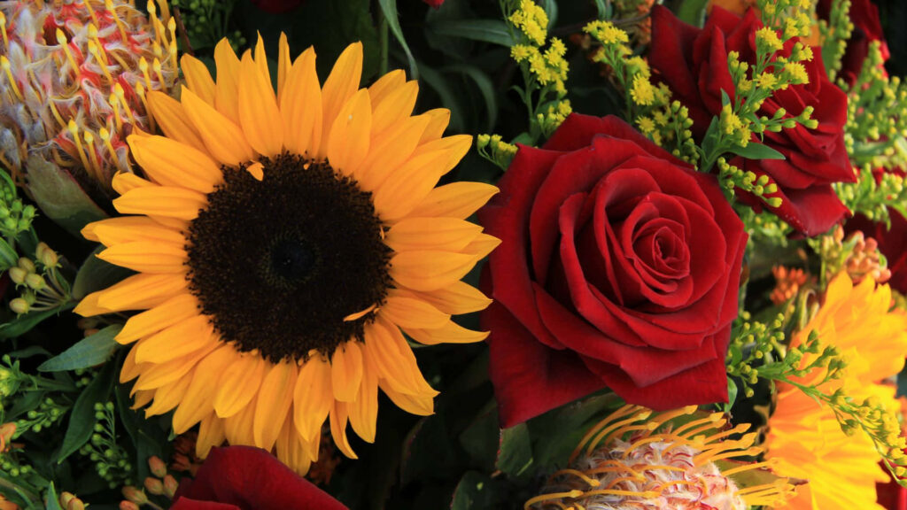 Vibrant Sunflowers & Red Roses Wallpaper for Cheerful Background