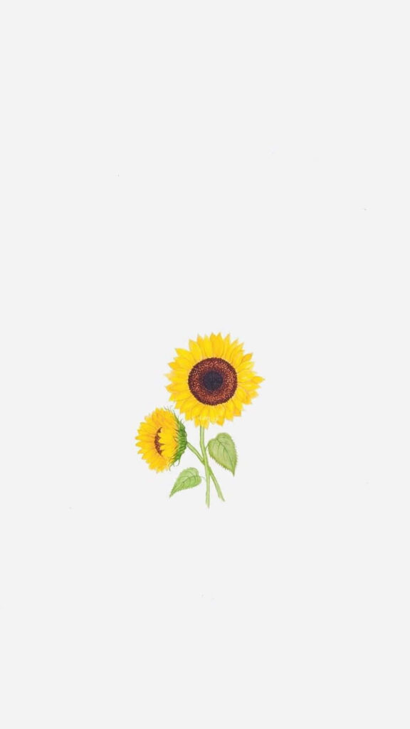 Vibrant Sunflower iPhone Wallpaper: Nature's Simple Charm