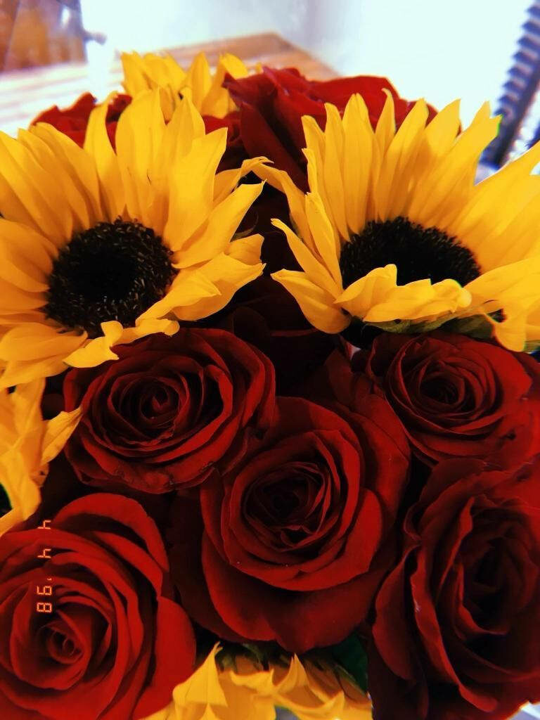 Vibrant Sunflowers and Roses Wallpaper: Colorful Floral Background