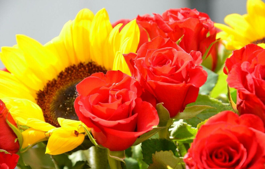 Vibrant Sunflowers & Red Roses Wallpaper for a Cheerful Background