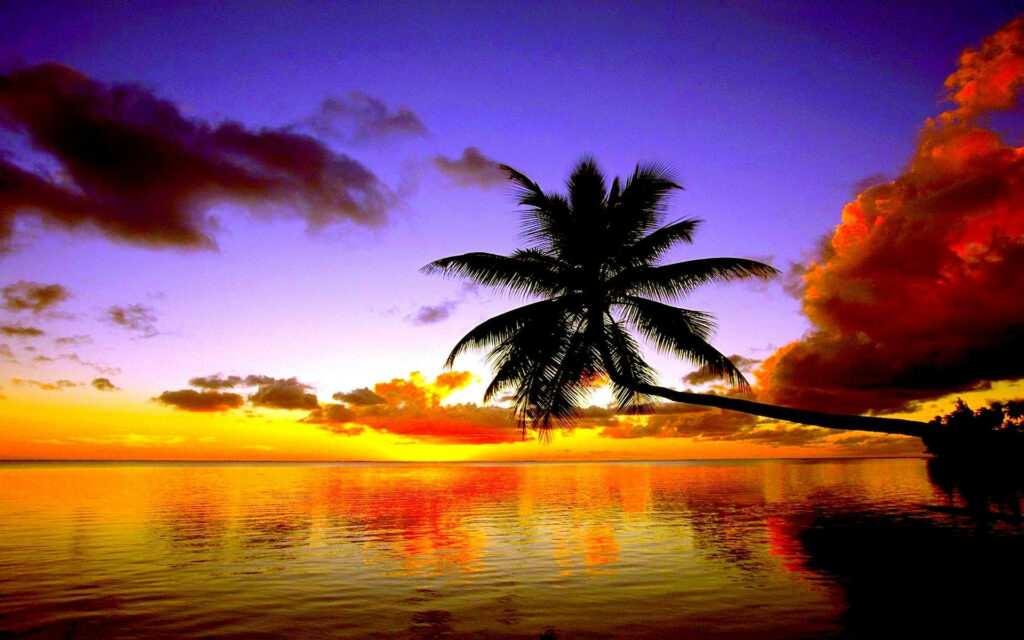 Tranquil Sunset Beach Wallpaper: Vibrant Orange, Purple & Pink Hues