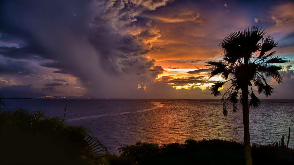 Vibrant Sunset Over Ocean: Tropical Paradise Coastal Scene Wallpaper