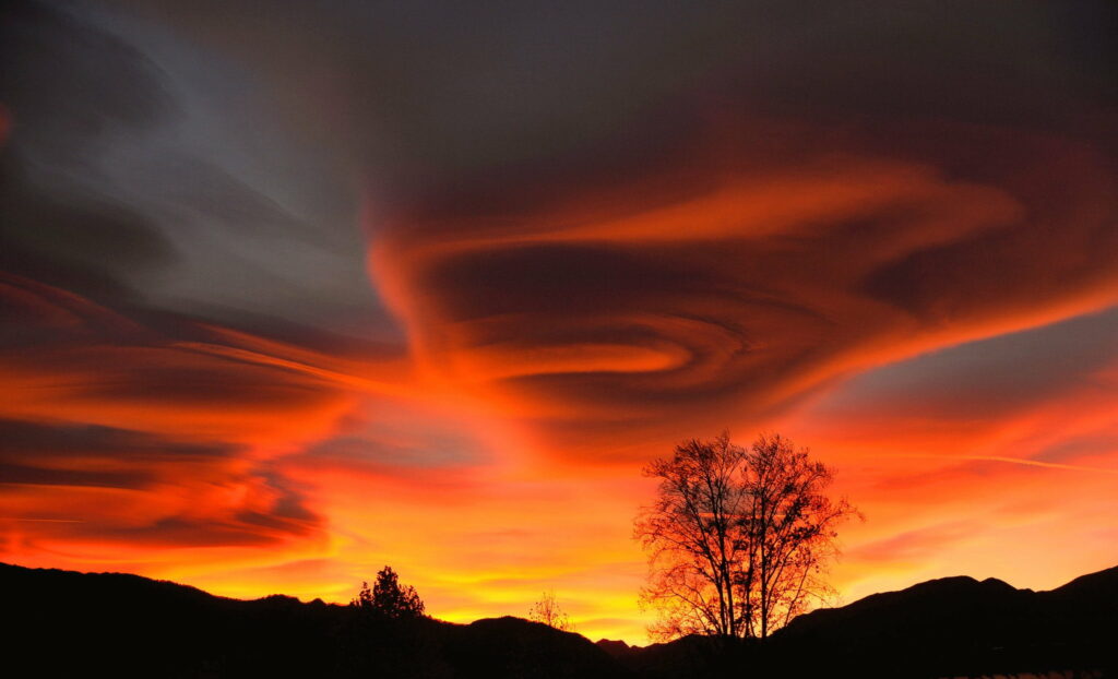 Vibrant Sunset HD Wallpaper with Silhouetted Tree & Mountains