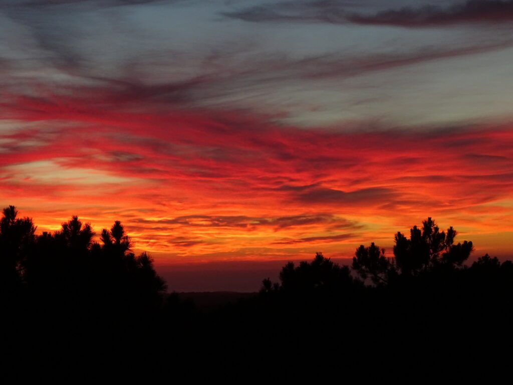 Vibrant sunset wallpaper with red orange purple sky streaks silhouetted trees and wispy clouds