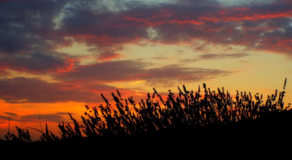 Vibrant sunset with lavender silhouette and colorful orange pink purple sky serene landscape wallpaper