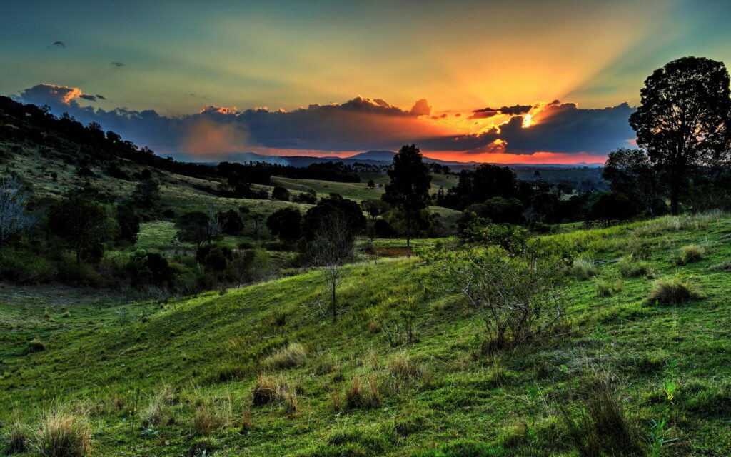 Vibrant sunset over lush green valley with golden light and dramatic blue orange sky wallpaper background