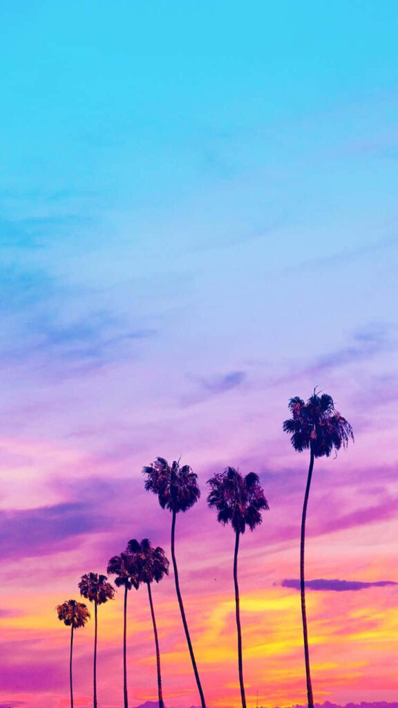 Vibrant Sunset Wallpaper: Palm Tree Silhouettes in Tropical Hues