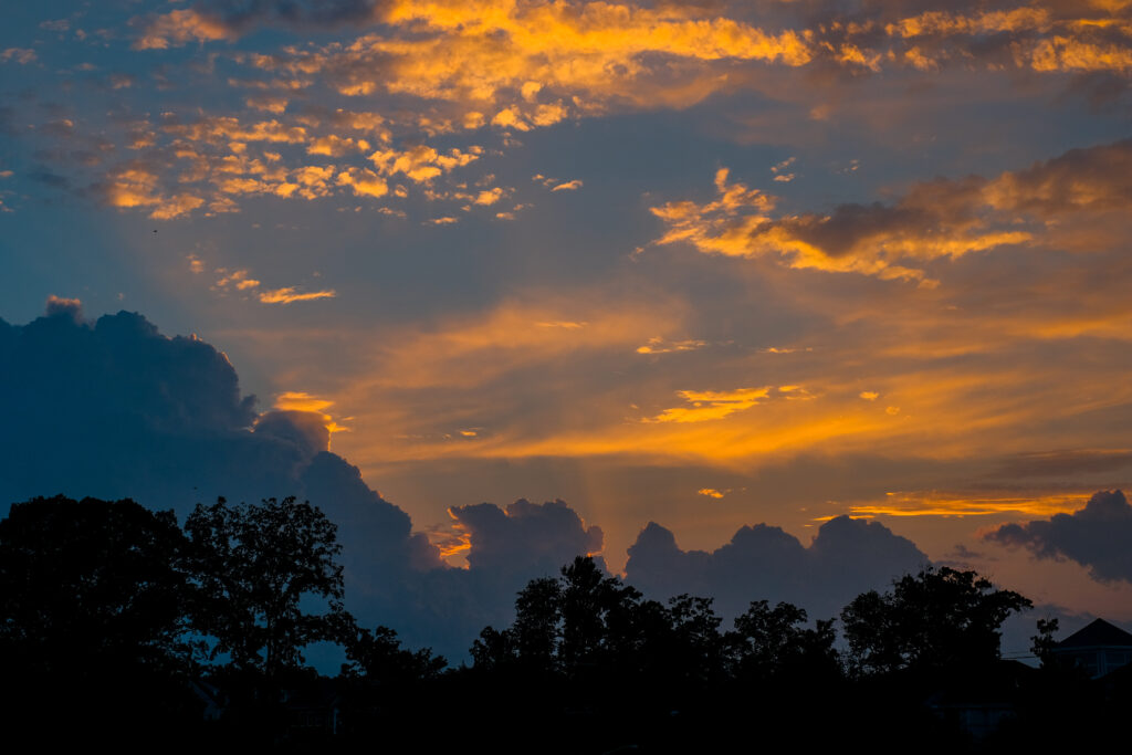 Vibrant sunset wallpaper with golden clouds and dark tree silhouettes peaceful landscape