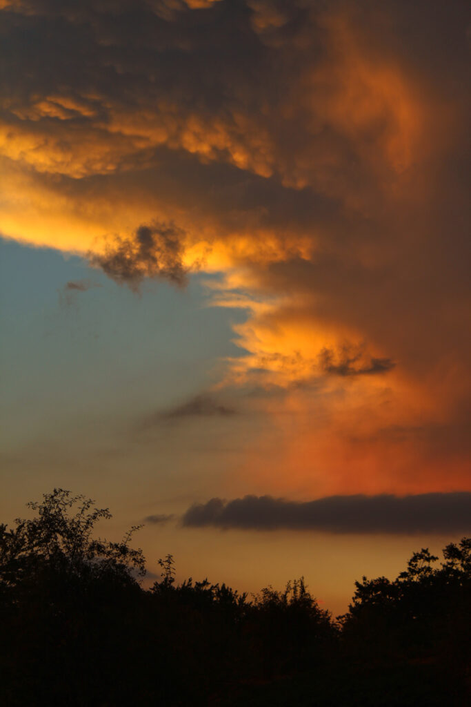 Sunset wallpaper with vibrant orange gold clouds over tree silhouettes serene evening sky background