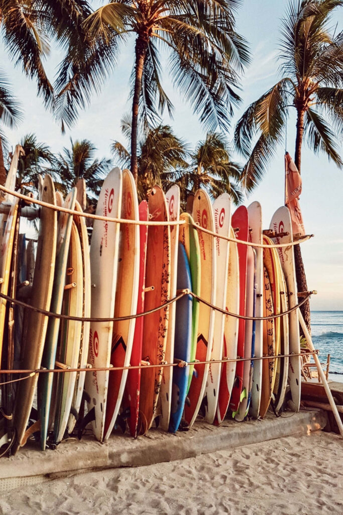 Tropical Surfboard Rack Wallpaper: Adventure & Relaxation Scene