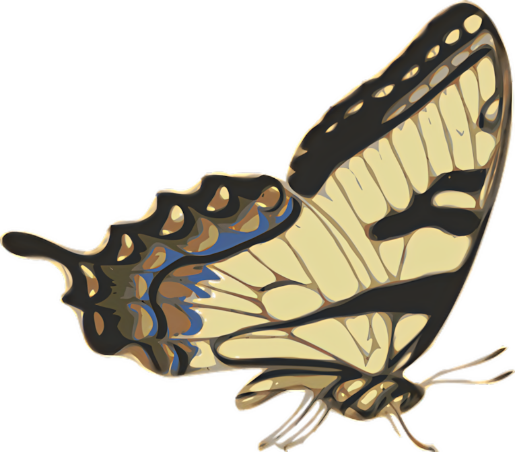 Vibrant Swallowtail Butterfly Wallpaper - Intricate Design Background