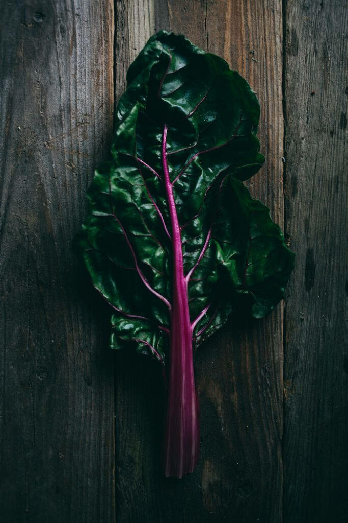 Vibrant Swiss Chard Leaf Wallpaper: Earthy Greens & Purples