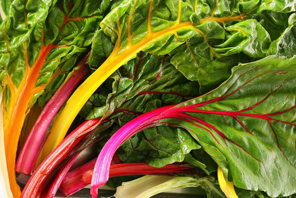 Vibrant Swiss Chard Wallpaper: Colorful Stalks and Textured Green Leaves