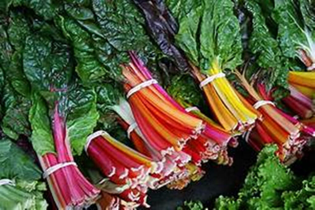 Vibrant Swiss Chard Wallpaper: Colorful Vegetable Bunch Background
