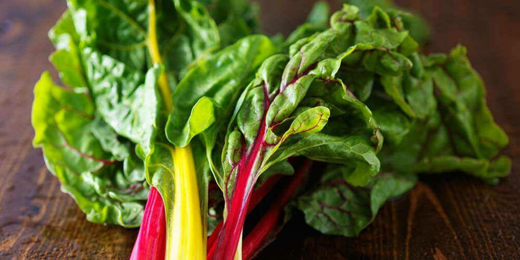 Vibrant Swiss Chard: Colorful Stems & Lush Leaves - Rustic Wallpaper