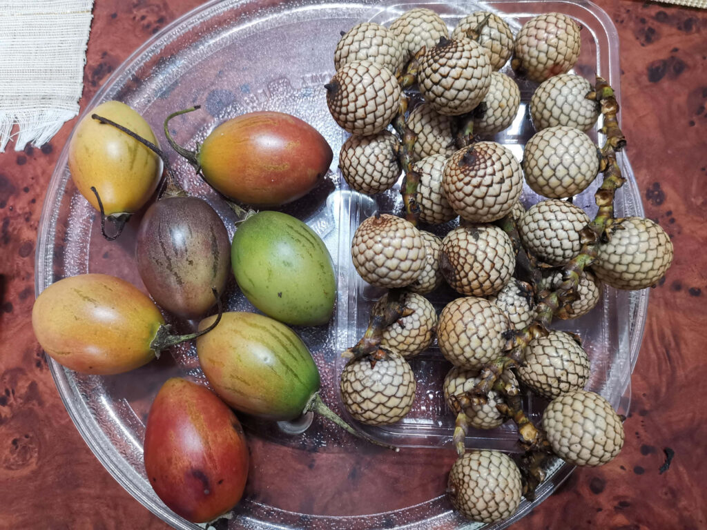 Vibrant Tamarillos & Rattan Fruits Wallpaper - Close-Up Photography